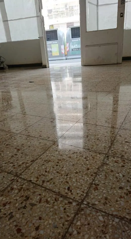 Pulido de mosaicos graníticos — trabajo de Cristal Pulidos