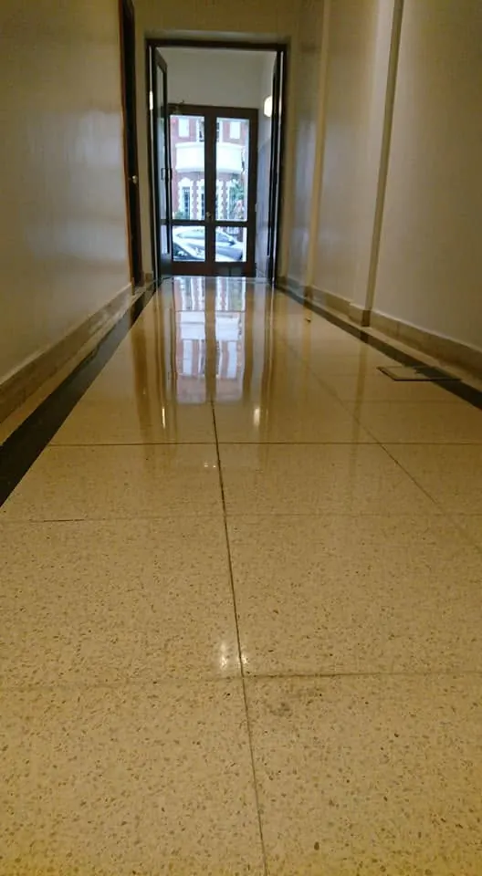 Pasillo de mosaico con brillo cristalizado