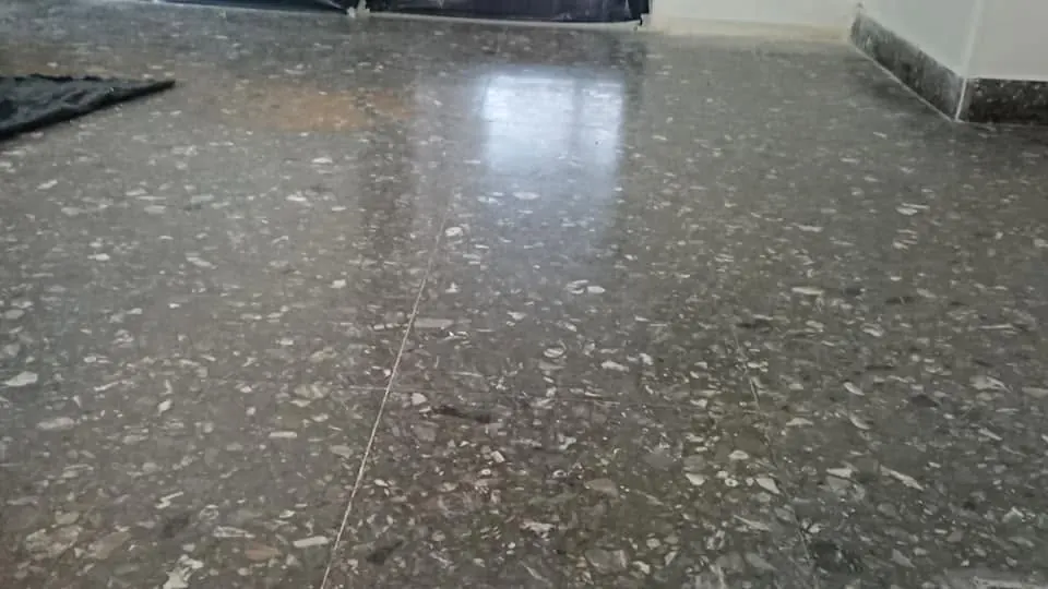 Pulido de pisos de granito — trabajo de Cristal Pulidos